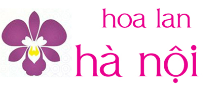 Hoa Lan Hà Nội